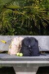 BEIS123460_Backpack_Black_1287_958a21f8-a829-4aff-b4bd-e9a278ce0734